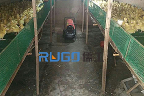 冬季，家畜養(yǎng)殖取暖使用儒工燃油暖風機